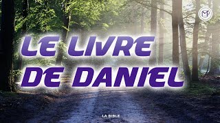 🔴 LIVRE DE DANIEL  Bible audio avec instrumental bibleaudio maparoledevie [upl. by Orsino391]