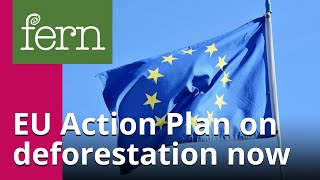 We need an EU Action Plan on deforestation now [upl. by Donalt]