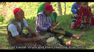 Natures Presences Music of the Indigenous Peoples of Southern Mindanao [upl. by Felicie692]