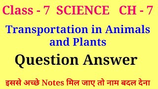 transportation in plants and animals class 7 question answer  class 7 science ch 7 question answer [upl. by Oilisab]