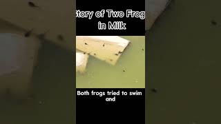 Story of Two Frogs in Milk short story comics moralstories  cartoon kidcartoonstory kid [upl. by Nob]