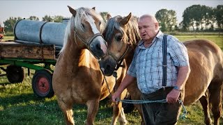 Krauses Zukunft  Komödie Ganzer Film Deutsch [upl. by Nsaj]