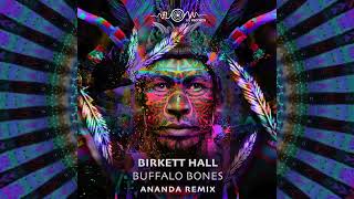 Birkett Hall Buffalo Bones Ananda Remix [upl. by Lseil]