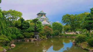 Osaka Castle osakacastle osakatrip japan osakajapan japantrip osaka osakacastlejapan [upl. by Eusebio124]