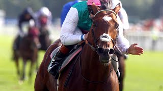 Frankel documentary The horse of the century [upl. by Grath]