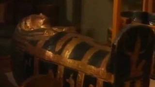 فيلم وثائقي عن الفرعون توت عنخ آمون ـ Pharaoh Tutankhamun [upl. by Ever]