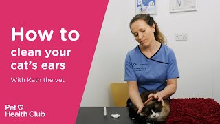 How to clean your cats ears  Vet guide [upl. by Ateekal]