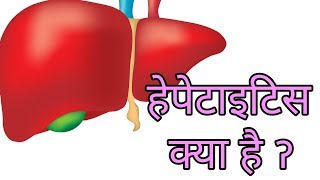 हेपेटाइटिस क्या हैhepatitis kya haiwhat is hepatitis in hindi [upl. by Donelu]