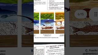 Formation and Exposure of Fossils in sedimentary rocksEvidences from Palaeontology evolution msc [upl. by Ahsiket320]