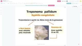 Bacteriologie  Le Treponema Pallidum Syphilis FMPC [upl. by Keary]