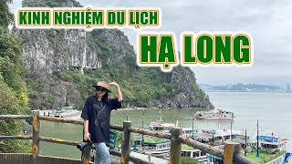 KINH NGHIỆM DU LỊCH HẠ LONG 3 NGÀY 2 ĐÊM CHI TIẾT NHẤT [upl. by Enrica845]