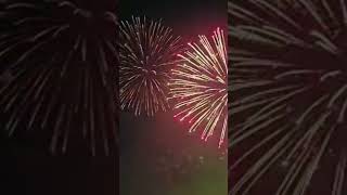 Dev Diwali Varanasi 2024 gidhaurdotcom hindufestival kashi ytshorts ytshortsindia news short [upl. by Suelo]