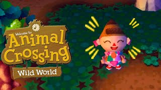 Animal Crossing Wild World  Little Building Gnome [upl. by Odie]