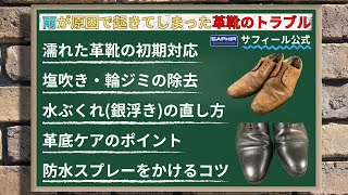 雨が原因で起きてしまった革靴のトラブルを簡単解決！防水スプレーの正しい使い方も【サフィール】 [upl. by Etnohs9]