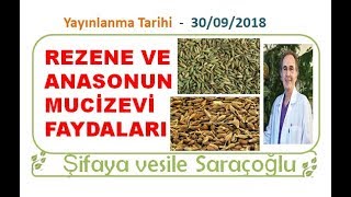 REZENE VE ANASONUN MUCİZEVİ FAYDALARI  Şifaya vesile Saraçoğlu [upl. by Bruce]