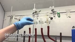 Degassing solvent on the Schlenk line [upl. by Chapman]