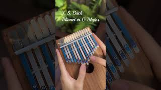 Kalimba cover Bach Minuet in G major beginner kalimba tutorial meditation relaxing musictherapy [upl. by Kirsten530]