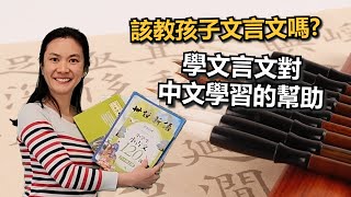 【海外中文教育】該不該讓孩子學文言文  如何教文言文 [upl. by Brier]