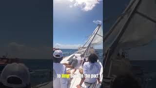 Sailboat Racing leads to disaster [upl. by Hadden]