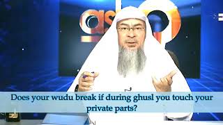 Does your wudu break if during ghusl you touch your private parts  Sheikh Assim Al Hakeem [upl. by Gwen]