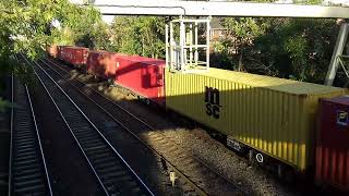 Trains  Hexthorpe Park  07 10 2024 [upl. by Aeikan463]