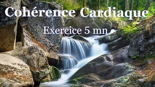 Coherence cardiaque exercice 5 mn [upl. by Yokum847]