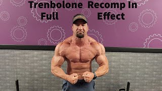 Trenbolone Cycle Update Recomp In Full Effect [upl. by Lezlie]