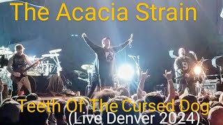 The Acacia Strain Teeth Of The Cursed Dog Live 2024 [upl. by Breeze]