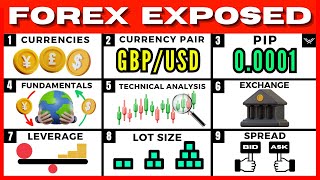 Forex Trading For Beginners FREE FULL COURSE [upl. by Virgil]