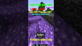 24 Hour Streamer VS Viewer Minecraft TNT Challenge [upl. by Eicrad]