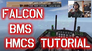 FALCON BMS  HMCS amp AIM9 TUTORIAL  MODO CASCO [upl. by Meter]