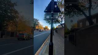 Plaistow Station music beach love travel edm halloween london funny beats shorts [upl. by Hallsy238]