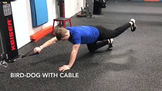 18 AntiRotation Exercises to Build and Bulletproof Your Core [upl. by Keiryt]