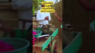 රත්තරනින් ගැනු හදනවනම් තොට දෙනවද  bandu samarasinha  tenisan kure comedy [upl. by Norvol623]