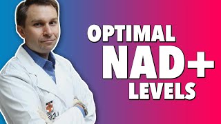 What Is NAD Longevity Boosts of Nicotinamide Adenine Dinucleotide amp NMN [upl. by Wilmar952]