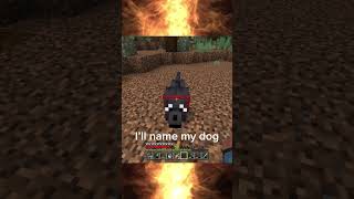 Name my dog in Minecraft minecraftsurvival minecraft gaming [upl. by Nodyl962]