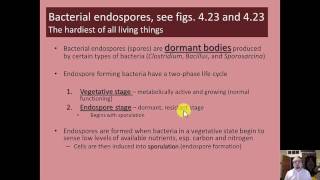 Microbiology  Prokaryotes  Chapter 4  Part 22 [upl. by Lay]