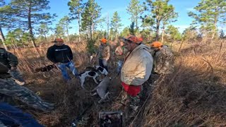 Deer Doggin On Public Land Lost Tribe Hunting Club 2023 Deer Season [upl. by Franklyn]