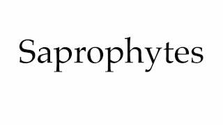 How to Pronounce Saprophytes [upl. by Retsila939]