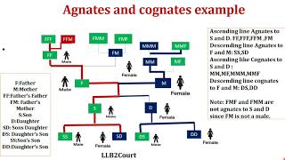 EnglishAgnates and cognates  Hindu Succession Act1956 [upl. by Etteiluj868]