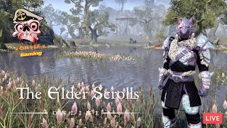 🔴LIVE  Just Another Day  Elder Scrolls Online [upl. by Orose]