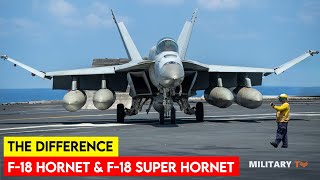 What is the Difference Between F18 Hornet and F18 Super Hornet [upl. by Just]