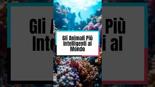 I Quattro Animali Piu Intelligenti al Mondo curiosità abissi misteri pesce tiktokitalia [upl. by Kelsi]