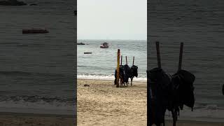 🏖️ Beach Walk São Sebastião l São Paulo shorts beach travel braziltourism [upl. by Anitsihc9]