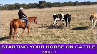 CAMPDRAFT TRAINING I Starting Your Horse on Cattle  Part 1 [upl. by Heathcote]