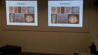 Geobiology and palaeogenomics genes that make rocks [upl. by Aietal552]