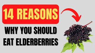 Elderberry Benefits 14 Impressive Elderberry Health Benefits [upl. by Haidedej519]