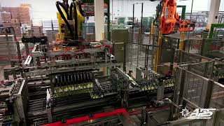 APS Full Bottling line 250 bpm CAPETTA [upl. by Haelem]