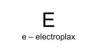 e  electroplax  E  English Dictionary [upl. by Rusticus]