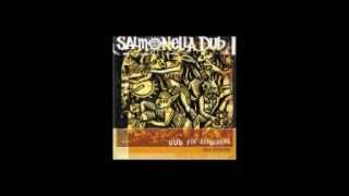 Salmonella Dub  Shabba Dub [upl. by Kcim]